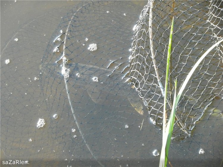 Рыбак рыбака видит из далека. Himmelschlusselchen от Annette Himstedt