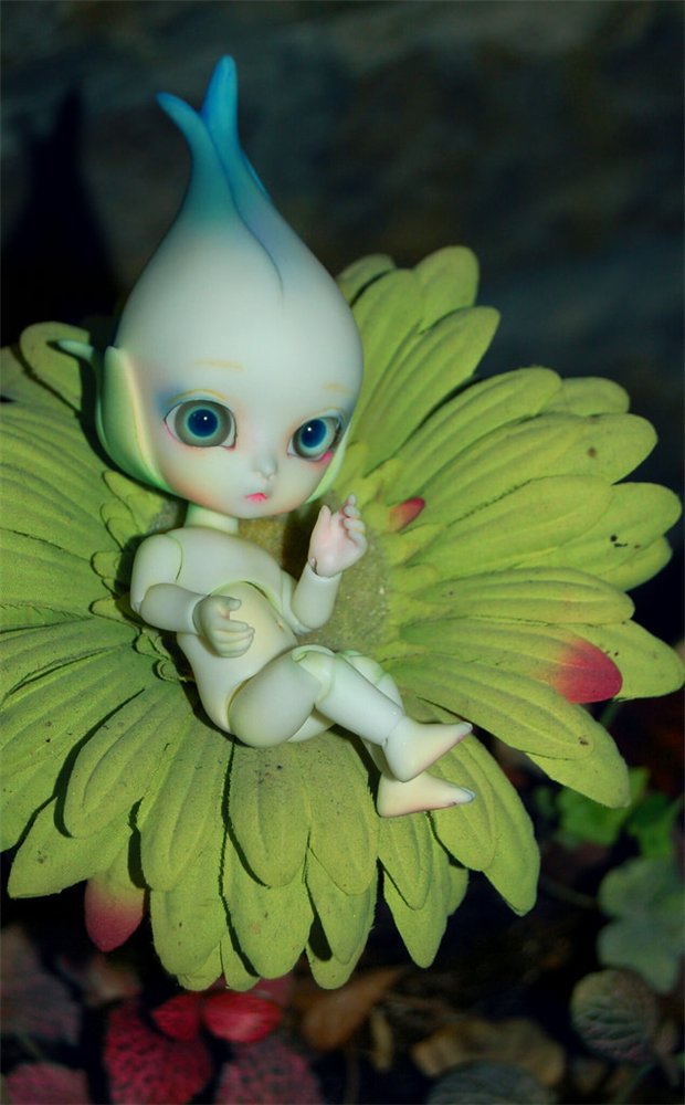 Цветы Dollzone, продолжение