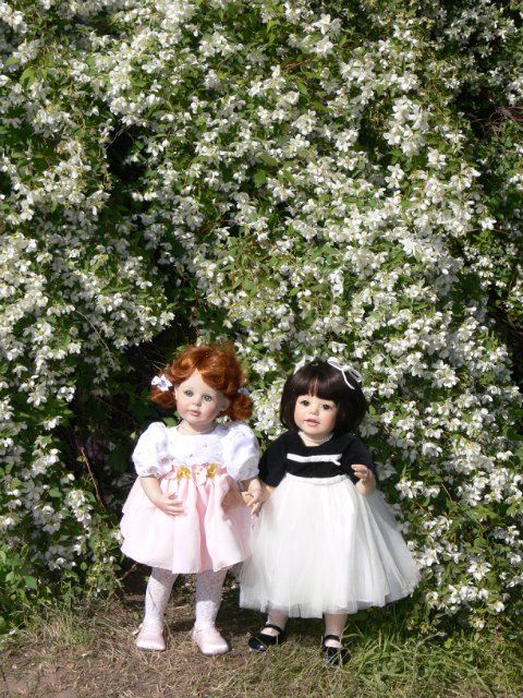 Продолжение прогулка в Ботаническом саду Санкт Петербурга. Часть 2. Иридарий | Бэйбики Продолжение прогулка в Ботаническом саду Санкт Петербурга. Часть 2. Иридарий