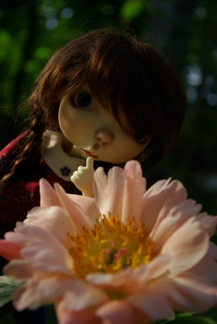 Маленькое приключение в саду цветов. Connie Lowe (фото 7)