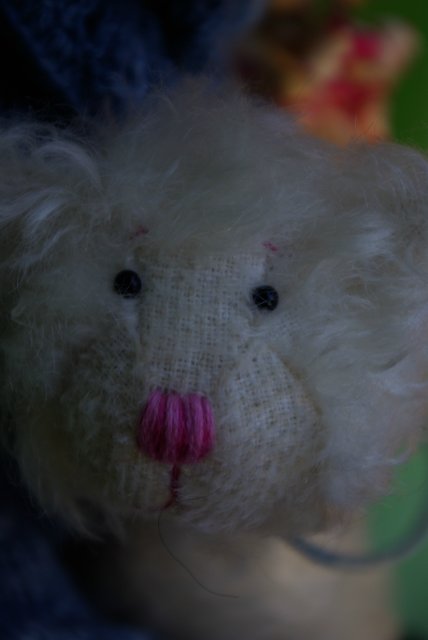 Zwergnase бывают и мохнатые. Linn-Gisela (фото 3)