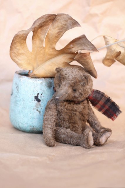 Старенький мишка Анис. Авторская игрушка Татьяны Матляк (фото 5)