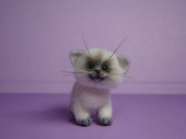 Котик. Авторская игрушка валянием из шерсти Ольги Чернухо (фото 2)