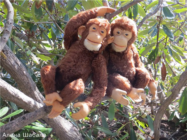 Старый Steiff. Яков и Матвей (фото 2)