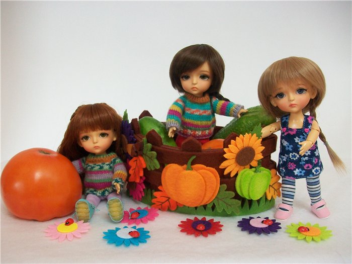 Как латишки урожай собирали (фото 4)