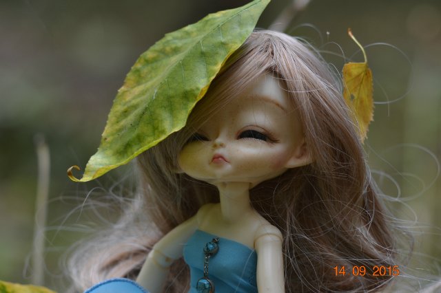 Осенний блюз. Hujoo — Худжики (фото 6)