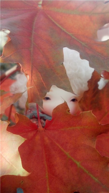 Мое первое Бжд чудо — Куклы Irrealdoll (Ирреалдолл): BJD (БЖД)