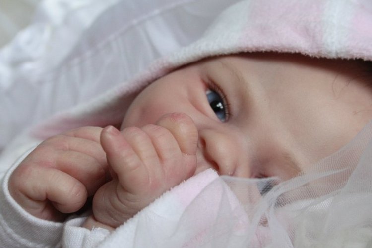 Моя малышня, кукла реборн Элины Кудрявцевой