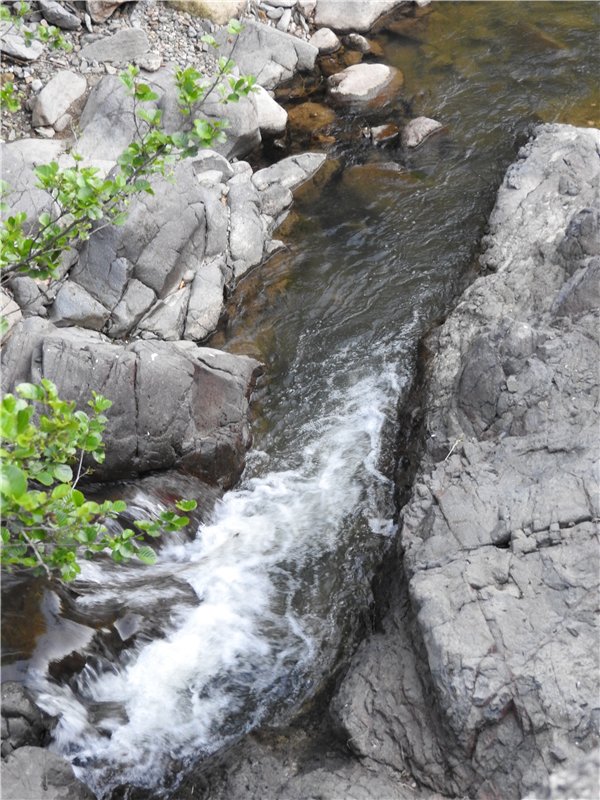 Любителям маленьких кукол