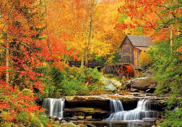 Красотка-осень — Болталка и разговоры обо всем: жизнь