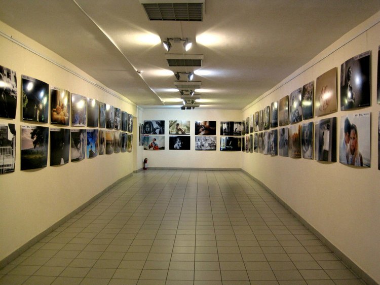 День в музее. Анжела в Государственном Дарвиновском музее