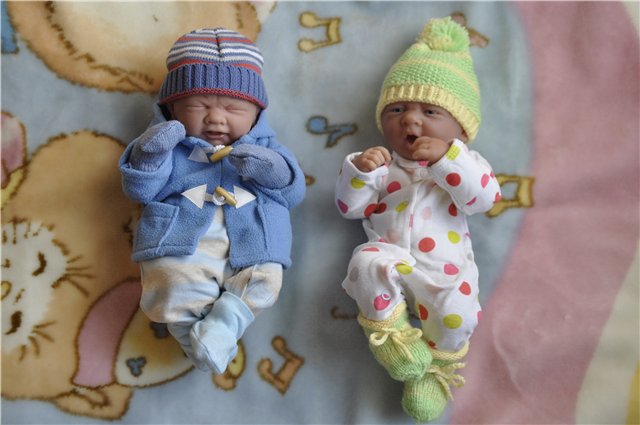 Беренджеры - взаимная любовь. Приглашаем в гости)