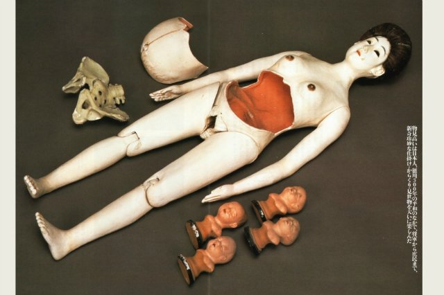 На каждого Бармалея свой Айболит или Куклы Гиппократа. От старинных диагностических кукол до современных медицинских