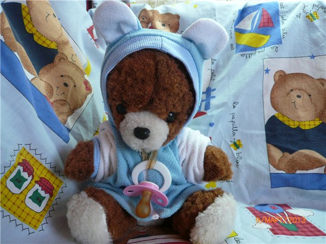 Мой Мишка приехал! Первые часы в любящей доме (фото 7)