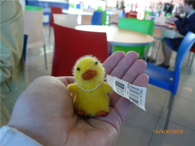 Сосенка и Тосенька — Разные куклы BJD (БЖД): редкие бренды