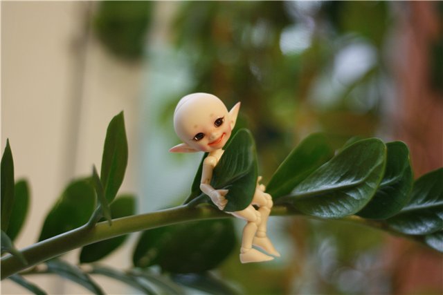 В нашем доме поселился замечательный жилец! Реалпуки Попо