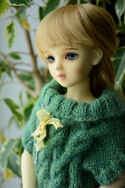 Юнная леди! Волкс МСД — Куклы Volks (Волкс): Super Dollfie (SD) и Dollfie Dream (DD) (фото 6)