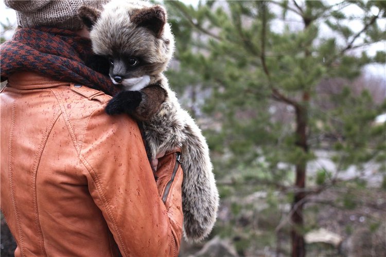 Енотьи прогулки. Авторские игрушки ручной работы Татьяны Матляк | Бэйбики Енотьи прогулки. Авторские игрушки ручной работы Татьяны Матляк (фото 7)