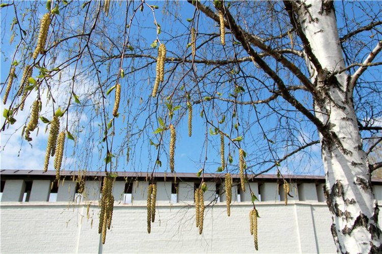 Путешествие в Старицу накануне Светлой Пасхи. Часть первая