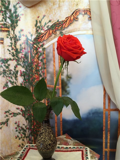 Аленький цветочек, сказка