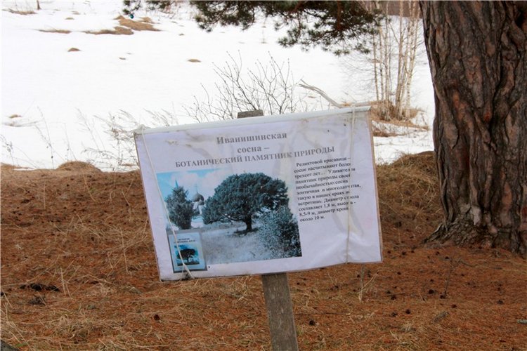 Весеннее путешествие. Продолжение (фото 6)