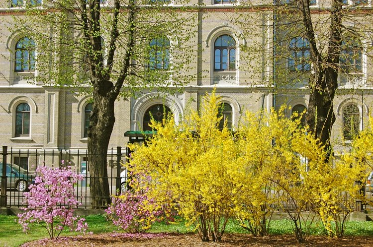 Рига - Москва, я жду тебя (фото 10)