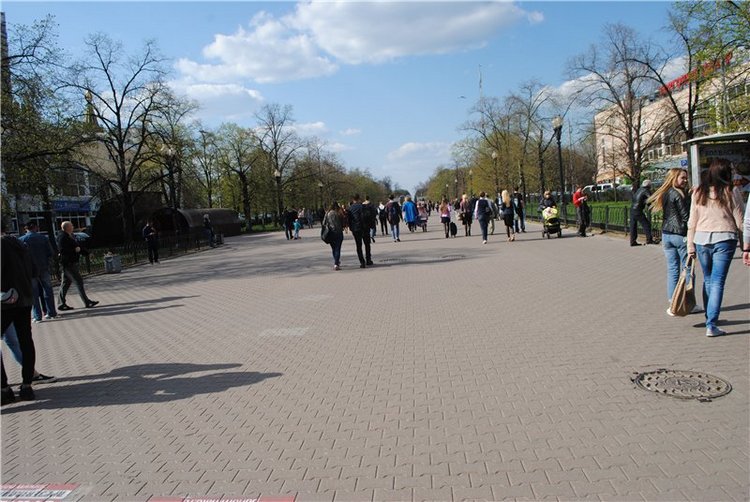 В парке «Сокольники» начинает работу блошиный рынок