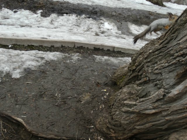 Прогулка с Лилей Annette Himstedt (фото 10)