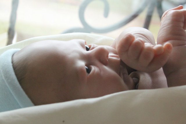 Филипка, кукла реборн Элины Кудрявцевой