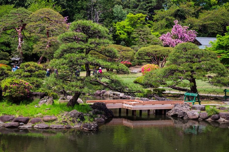 Япония моими глазами (часть 3. Китакюсю и Токио.)