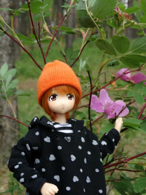 Прогулка в прохладный день | Бэйбики Прогулка в прохладный день