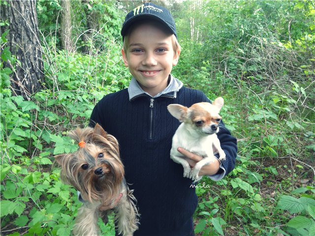 Игрушки для кукол. Лучи добра от Милы. Зверята в лесу