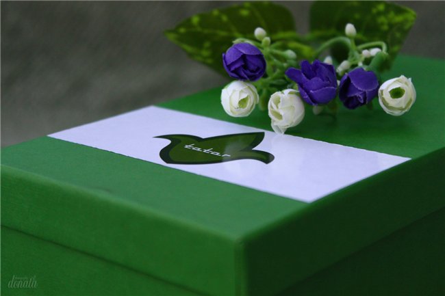 Алсуша. Татар Нәни Хәзинә Алсу (by Timur Zeleev)