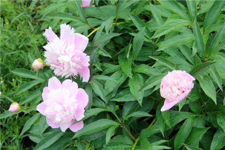 Кашин - город русского сердца. Часть седьмая. Вознесенский кафедральный собор