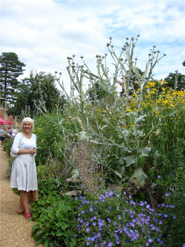 Кролик Питер путешествует (продолжение)