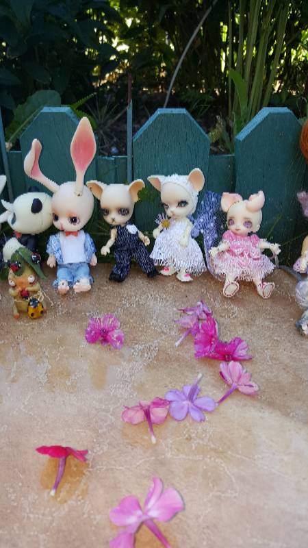 Большая свадьба Панг-Панга и Джулии (фото 7)