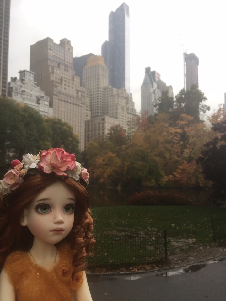 Луна гуляет в Центральном Парке в Манхаттане