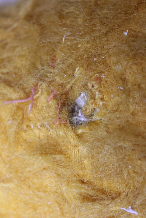 Мыть или не мыть - вот в чём вопрос (фото 6)