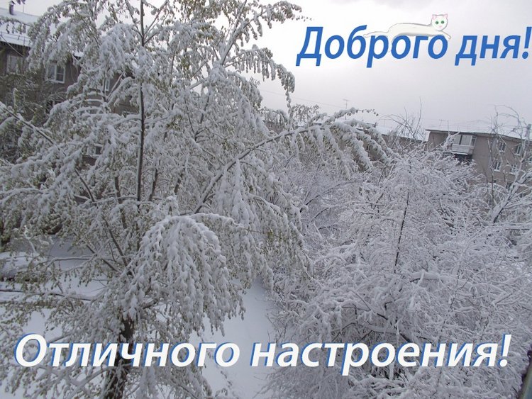 Привет от зимы — Болталка и разговоры обо всем: жизнь (фото 9)