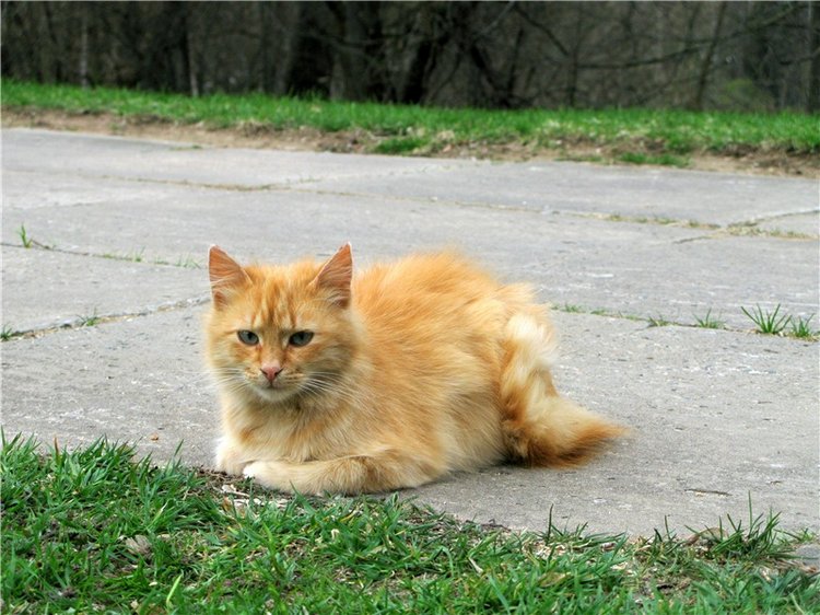 Майский день в Митино — Туризм и путешествия: фотоотчеты из поездок