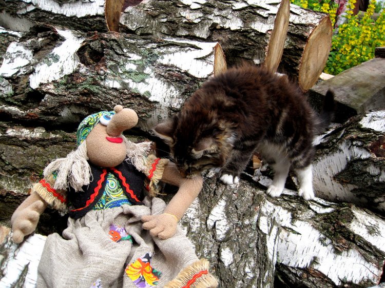 Бабушка из сказки — Коллекционные игрушки и фигурки: Lego