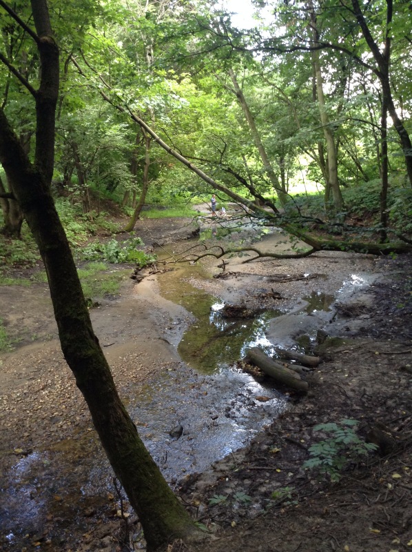 "Есть на Москве места такие..." ч.2. Тайны Коломенского оврага (фото 7)