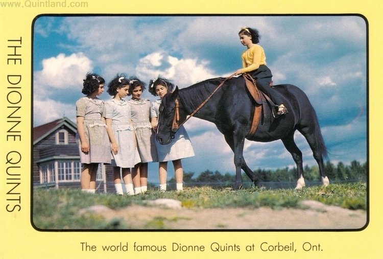 История трагической жизни, ставшая фурором кукольного мира . Часть 3 Заключение