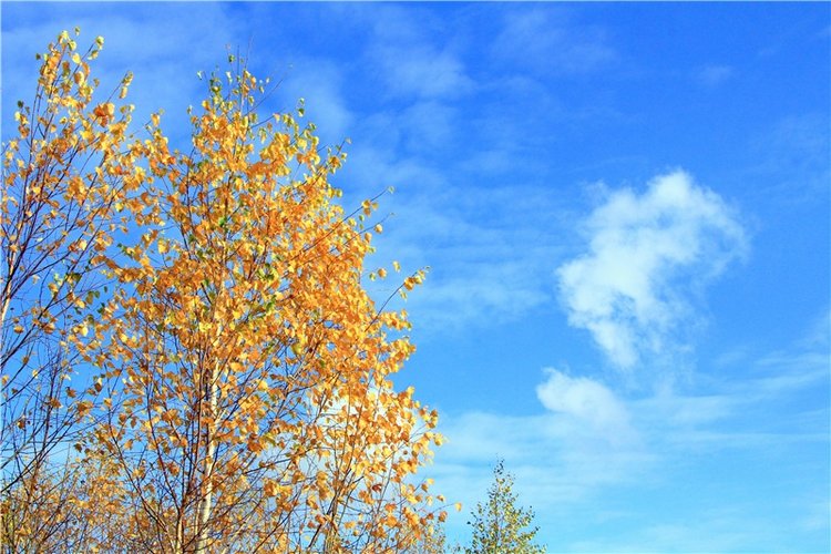 Зайка Зося. Авторская ручная работа Труничевой Ирины (фото 7)