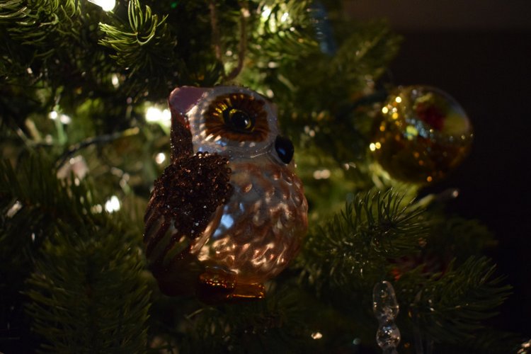 Болталка и разговоры обо всем: жизнь