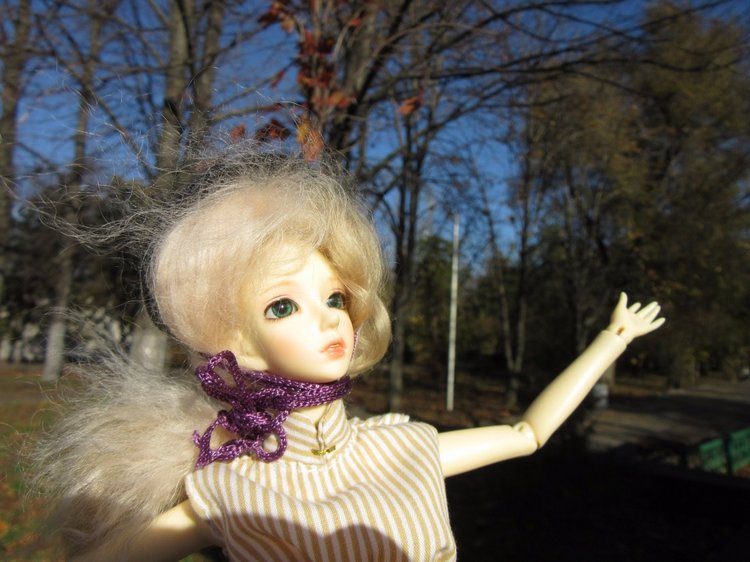 Танец умирающей осени — Куклы Soom (Сум): BJD (БЖД) (фото 8)