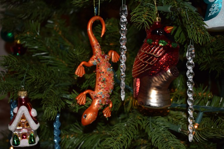 Болталка и разговоры обо всем: жизнь (фото 4)