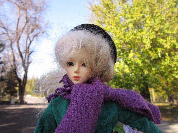 Танец умирающей осени — Куклы Soom (Сум): BJD (БЖД)