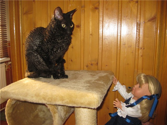 Золотая осень. Кукла Готц Симочка знакомится с Россией