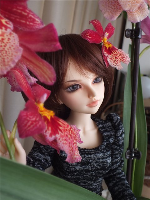 Моя Мишель... Такая разная... Minifee Lishe, Fairyland | Бэйбики Моя Мишель... Такая разная... Minifee Lishe, Fairyland (фото 7)